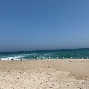 Meet your Posher, Trish